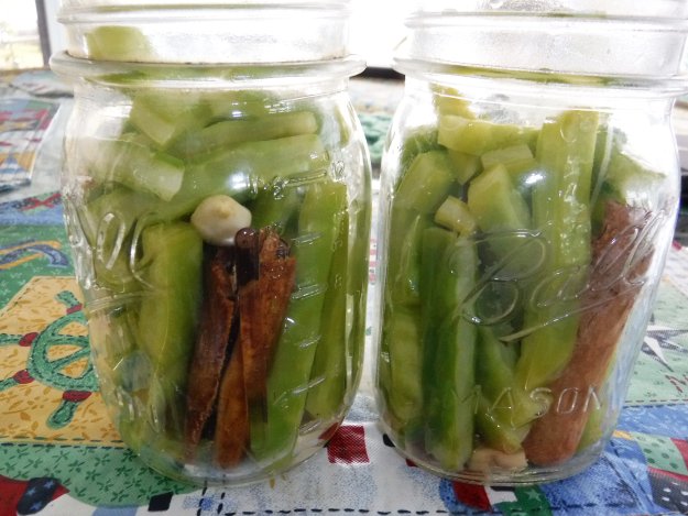 How to make a sweet brine mixture | Pickled Cactus Recipe with a Sweet Twist