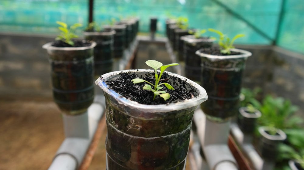 Amazing Hydroponic Systems For Indoor Gardening