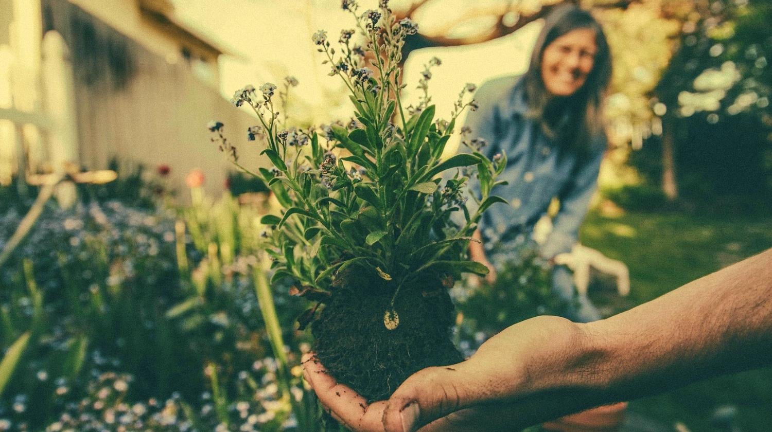 Feature | Planting, gardening, flowers | Incredible Tower Garden Ideas For Homesteading In Limited Space