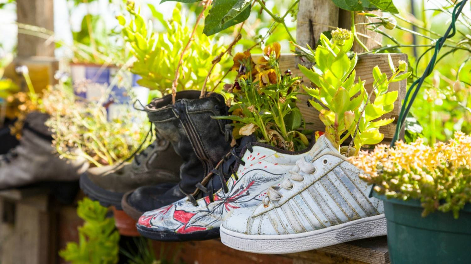 Featured | Planting plants and greens in different goods | Upcycled Homesteading | A Guide For The Creative Homeowner