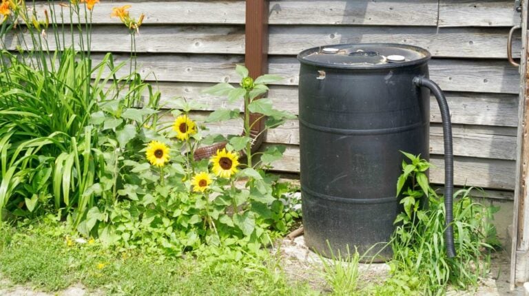 Feature | Plastic barrel for recycling rainwater | Make A DIY Rain rainwater harvesting Barrel And Never Waste Water Again