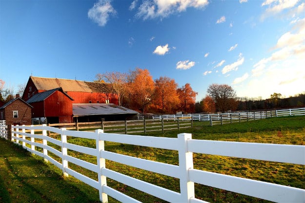 Fencing Frenzy: Choosing the Right Fence For Your Homestead
