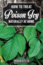 Poison Ivy Treatment