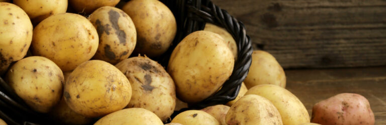 potato-garden