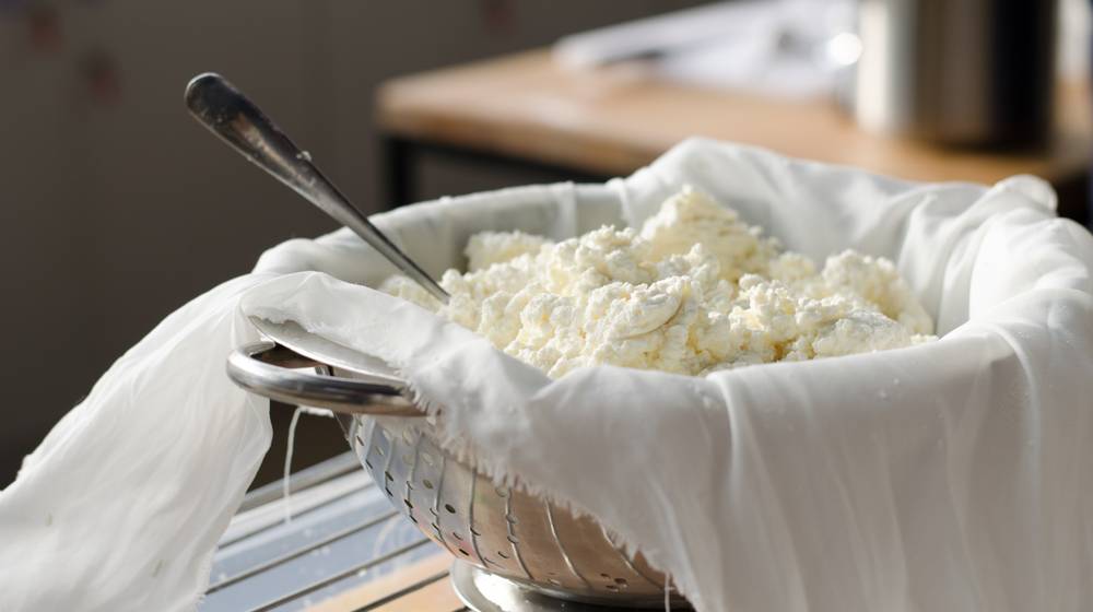 homemade cheese workshop | How To Make Vegetable Rennet for Cheesemaking | Featured