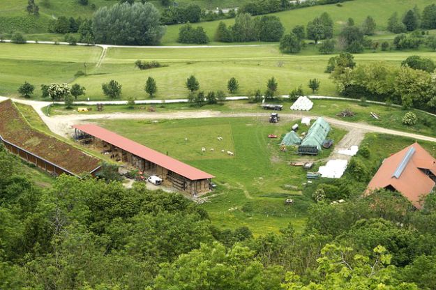 What Will Your Needs Be? | Survivalism Meets Homesteading: Things To Consider Before Purchasing A Homestead