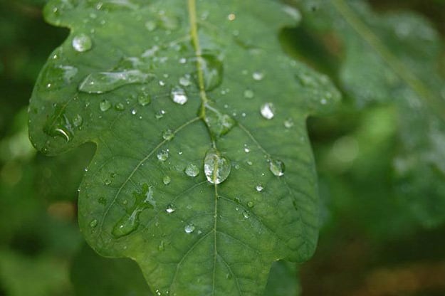 Know How to Camp in The Rain | Camping Hacks To Make Life Easier