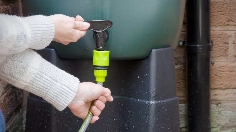 woman connecting a hose to a rain collector to water garden | Homesteading Activities You Should Do This Spring | spring activities | spring break activities