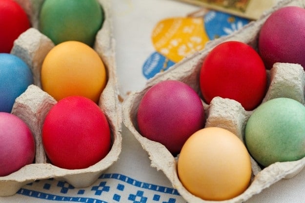 Egg cartons | Paper | How to Reduce, Reuse, and Recycle on the Homestead