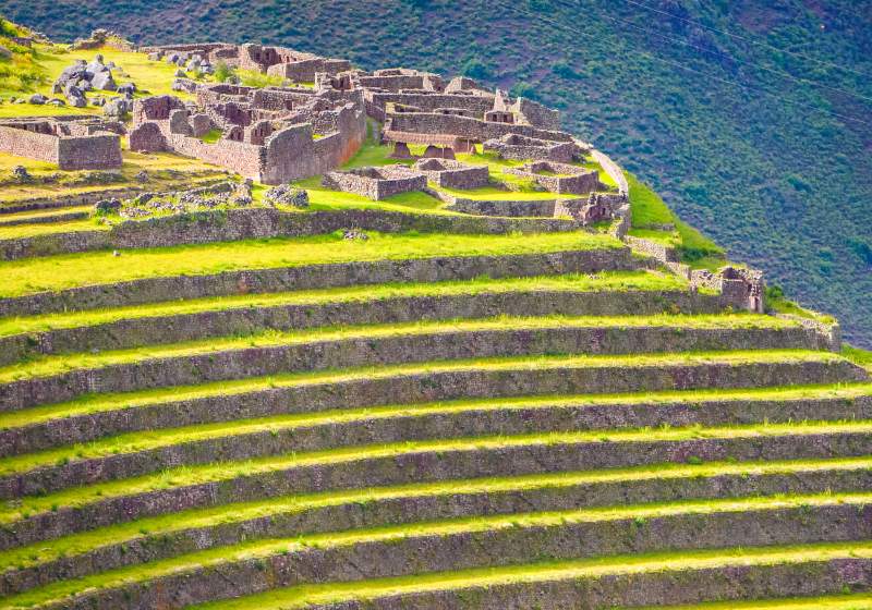 ruins inca town pisac peru on | define terrace farming