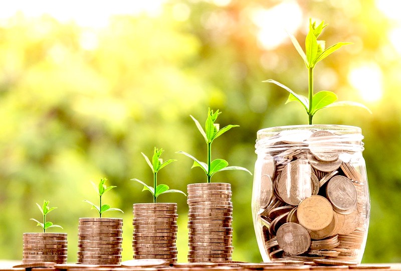 saving money | Ultimate Pandemic Surival Tips For Homesteaders