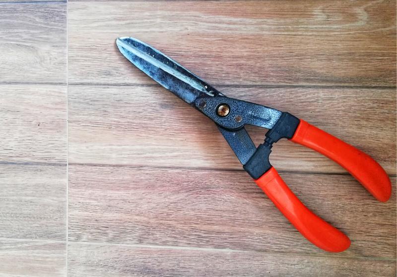 scissor grass cutter red plastic handle | how to trim goat hooves when jumping