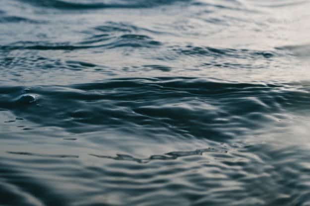 Ocean Acidification is Getting Worse | 7 Climate Change Facts To Know | Homestead Preparedness