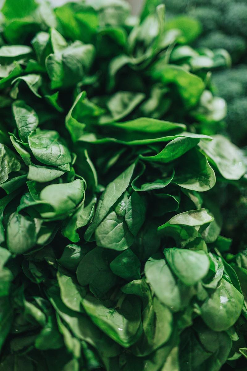 spinach garden | Fastest Growing Vegetables That You Should Plant In Your Garden | fastest vegetables to grow