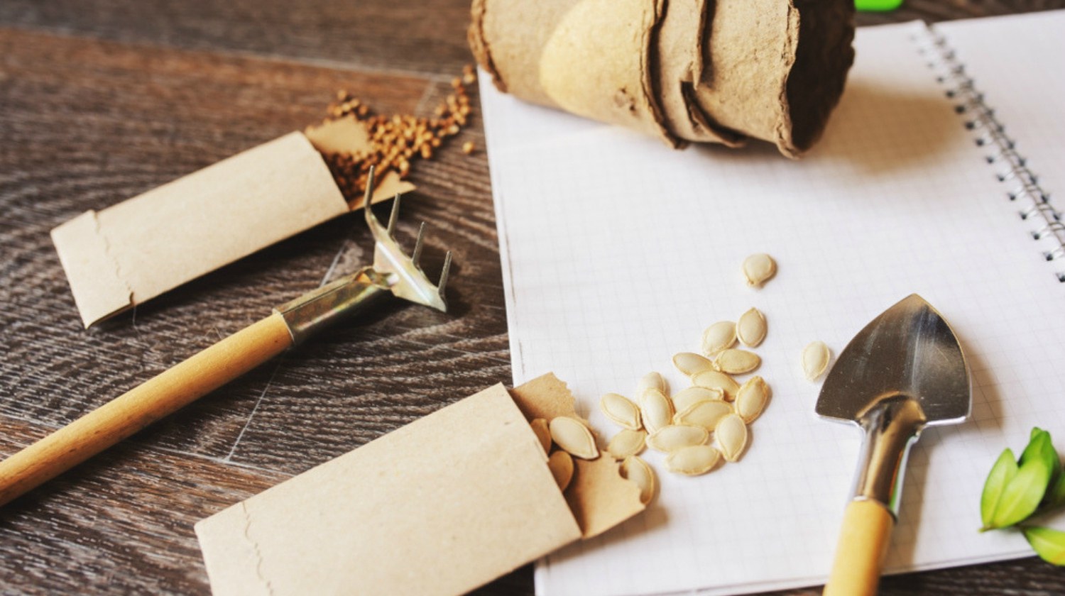 Featured | spring garden preparation for sowing vegetable seeds and planning | The Art of Seed Saving