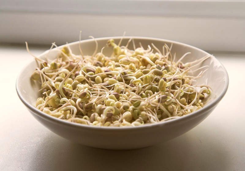 Sprouts | Growing Sprouts