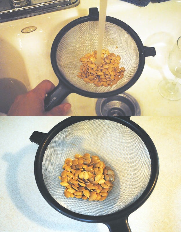 seed savers, vegetable seeds, how to save seeds, seed saving, seed storage, growing acorn squash, saving squash seeds, how to save squash seeds, how to save pumpkin seeds, seed saver