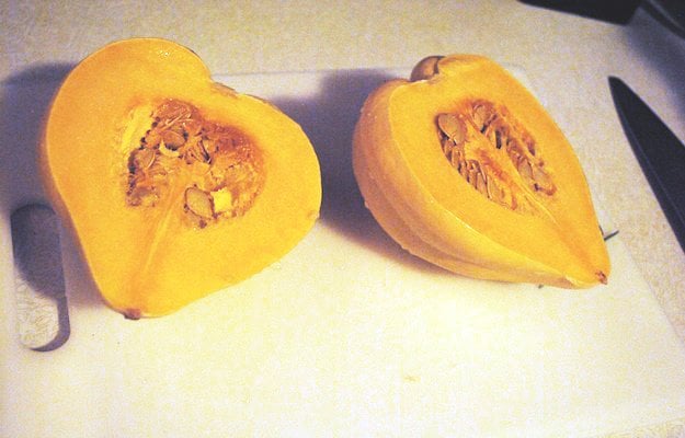 seed savers, vegetable seeds, how to save seeds, seed saving, seed storage, growing acorn squash, saving squash seeds, how to save squash seeds, how to save pumpkin seeds, seed saver