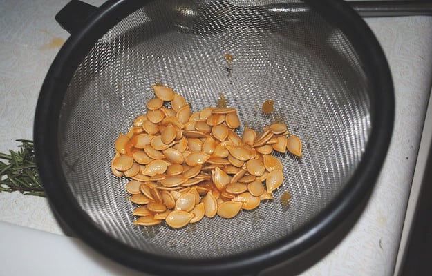 seed savers, vegetable seeds, how to save seeds, seed saving, seed storage, growing acorn squash, saving squash seeds, how to save squash seeds, how to save pumpkin seeds, seed saver