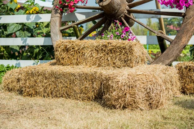 Kickstart Spring By Starting Your Own Straw Bale Garden
