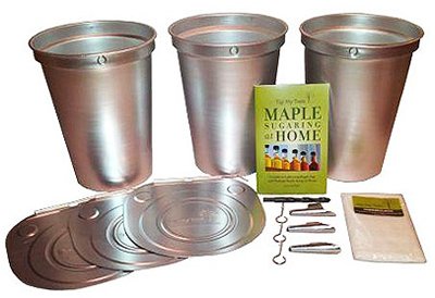 sugaring kit