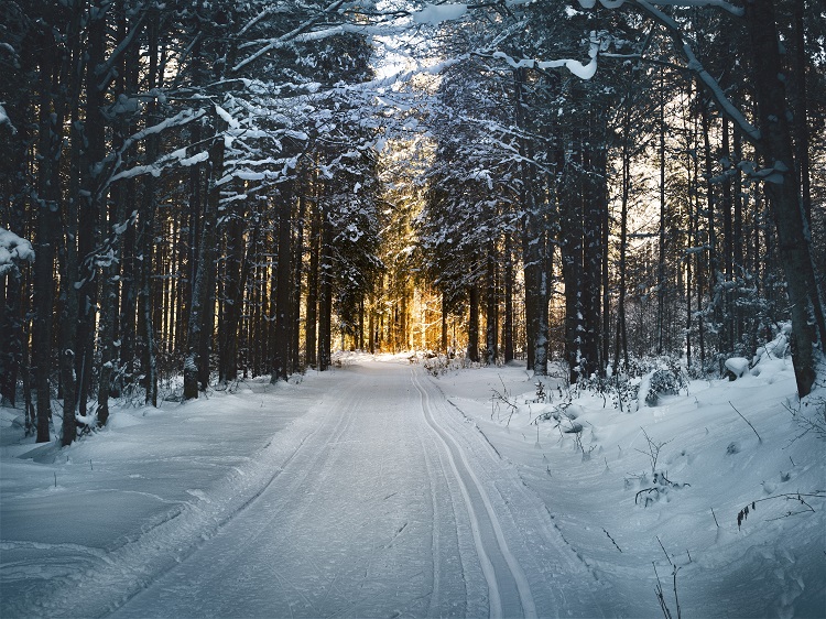 Living Off Grid In Winter