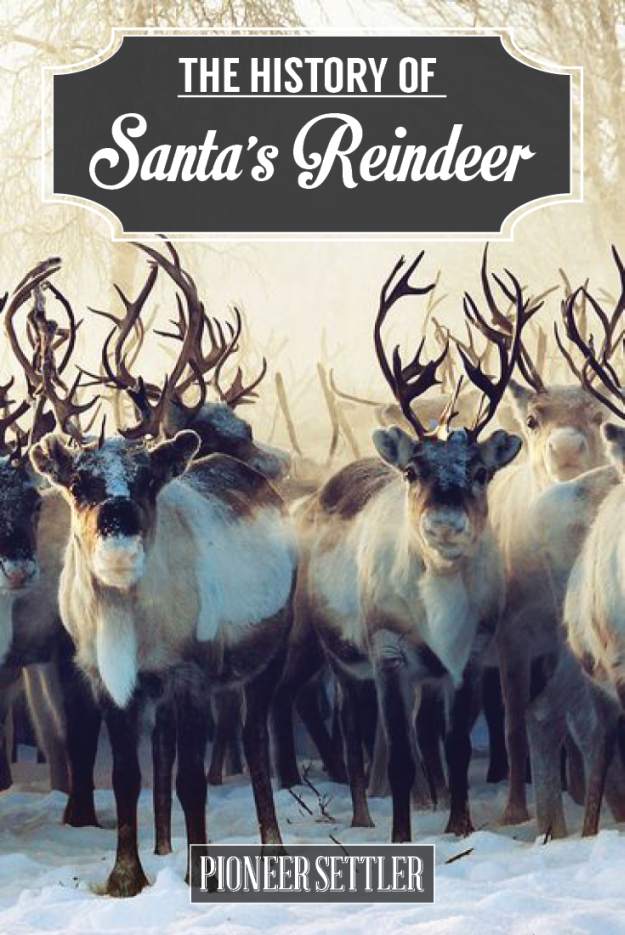 Santa's Reindeer Santa's Reindeer