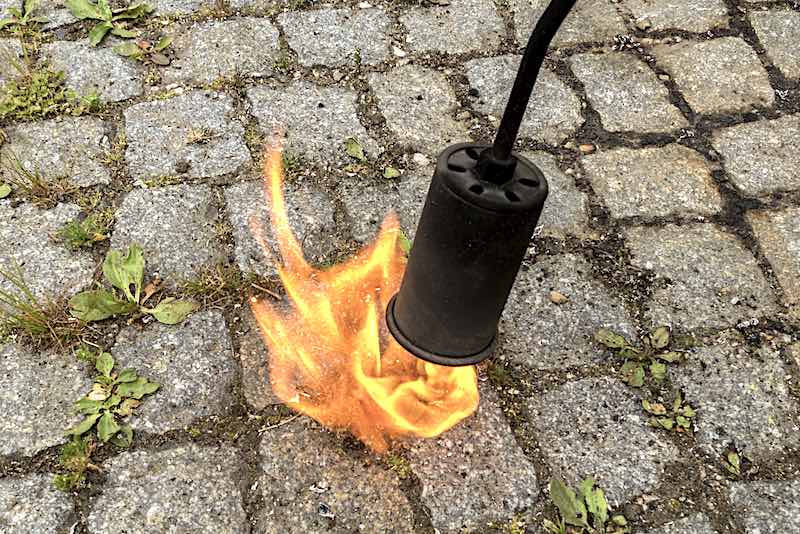 Thermal Flame | Non-Toxic Weed Control Tips To Boost Your Garden's Harvest
