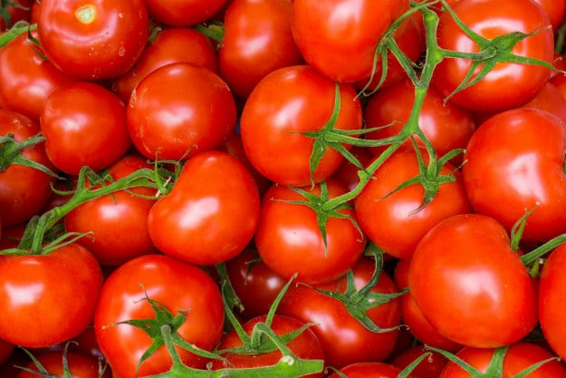 Companion Plants For Your Survival Garden tomatoes