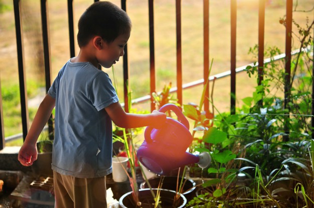 Chapter 10: Gardening Tips for the Family | How To Grow All The Food You Need | Homesteading Handbook