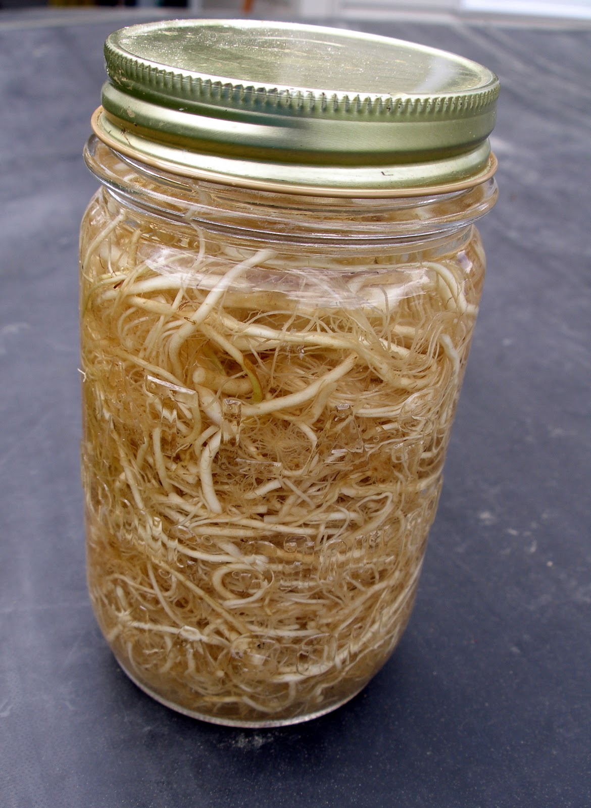 Valerian Root | Homemade Recipes For Cold And Flu