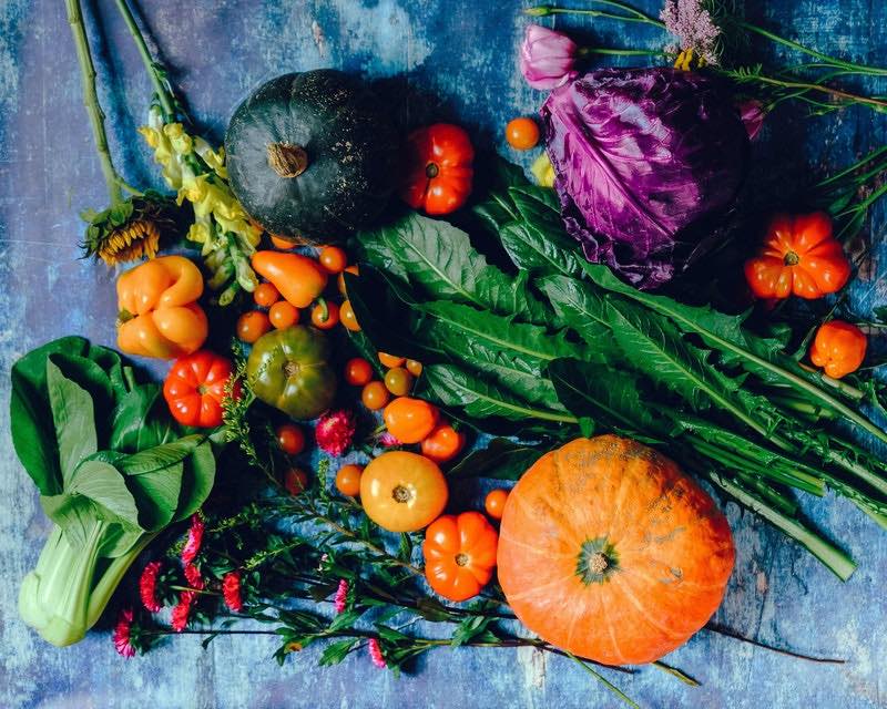 variety of vegetables | How To Mix Your Own Pig Feed And Save Money | pig feed