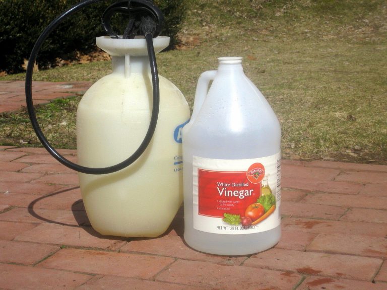 White Vinegar | Homemade Weed Killer To Stop Weeds In Their Tracks White Vinegar | Homemade Weed Killer To Stop Weeds In Their Tracks