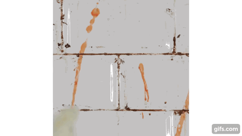 Wall Tiles| Homesteading Ways To Use A Vinegar Cleaning Solution