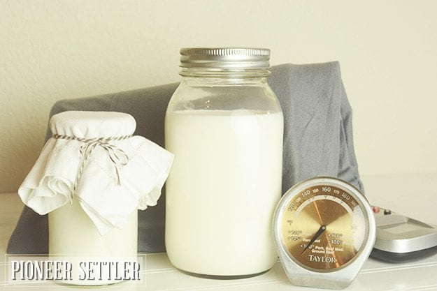 homemade yogurt recipe, how to make yogurt from scratch, plain yogurt recipe, yogurt recipe, how to make homemade yogurt, how to make yogurt