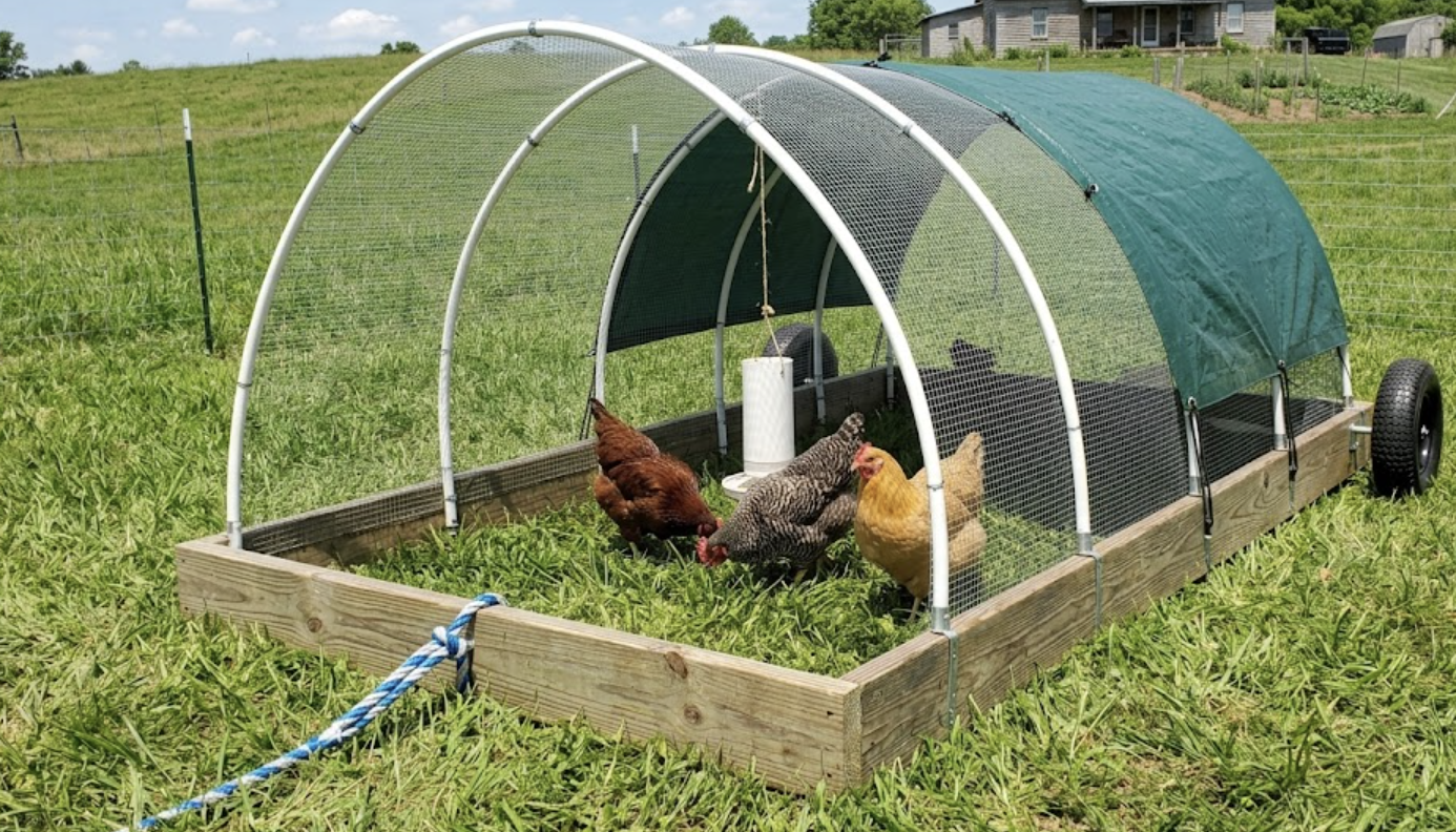 mobile chicken tractor setup featured