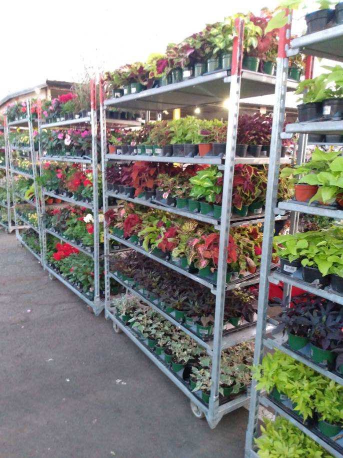 photo-1138.jpg