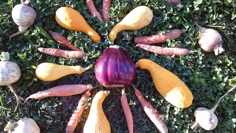 photo-3354.jpg