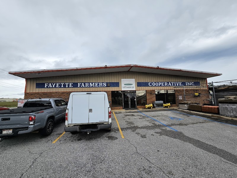 photo-437.jpg