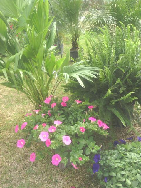 photo-444.jpg