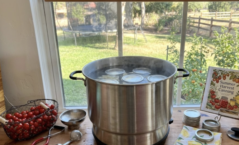 canning essentials summer harvesting